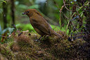 BUITEN BEELD Foto: 244003