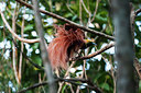 BUITEN BEELD Foto: 244005