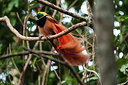 BUITEN BEELD Foto: 244010
