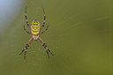BUITEN BEELD Foto: 244049
