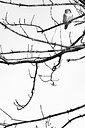 BUITEN BEELD Foto: 244054