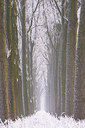 BUITEN BEELD Foto: 244084