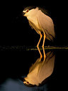 BUITEN BEELD Foto: 244206