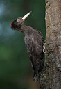 BUITEN BEELD Foto: 244251
