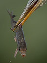 BUITEN BEELD Foto: 244268