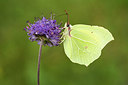 BUITEN BEELD Foto: 244337