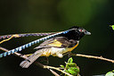 BUITEN BEELD Foto: 244395