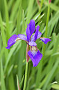 BUITEN BEELD Foto: 244442