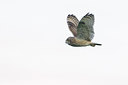 BUITEN BEELD Foto: 244505