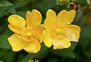 BUITEN BEELD Foto: 244563