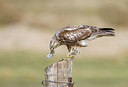BUITEN BEELD Foto: 244599