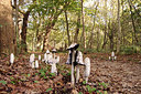 BUITEN BEELD Foto: 244620