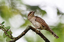 BUITEN BEELD Foto: 244721