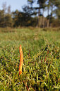 BUITEN BEELD Foto: 244737