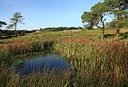 BUITEN BEELD Foto: 244743