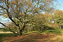 BUITEN BEELD Foto: 244748