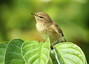 BUITEN BEELD Foto: 244795