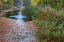 BUITEN BEELD Foto: 244827