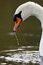 BUITEN BEELD Foto: 244855
