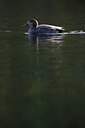 BUITEN BEELD Foto: 244857