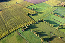 BUITEN BEELD Foto: 244886