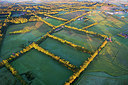 BUITEN BEELD Foto: 244910