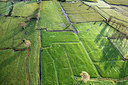 BUITEN BEELD Foto: 244975