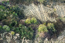 BUITEN BEELD Foto: 245021