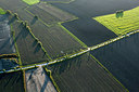BUITEN BEELD Foto: 245030
