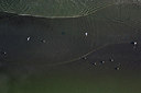 BUITEN BEELD Foto: 245075