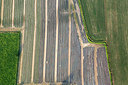 BUITEN BEELD Foto: 245113