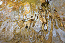 BUITEN BEELD Foto: 245122