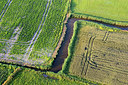 BUITEN BEELD Foto: 245175