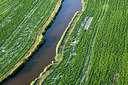 BUITEN BEELD Foto: 245176