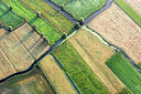 BUITEN BEELD Foto: 245206