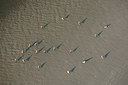 BUITEN BEELD Foto: 245250