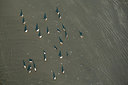 BUITEN BEELD Foto: 245251