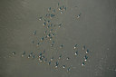 BUITEN BEELD Foto: 245252