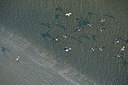 BUITEN BEELD Foto: 245253
