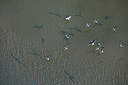 BUITEN BEELD Foto: 245254