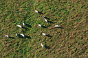 BUITEN BEELD Foto: 245256