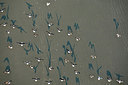 BUITEN BEELD Foto: 245305