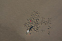 BUITEN BEELD Foto: 245306