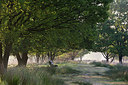 BUITEN BEELD Foto: 245438
