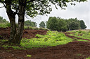 BUITEN BEELD Foto: 245440