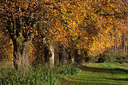 BUITEN BEELD Foto: 245443