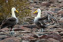 BUITEN BEELD Foto: 245479