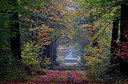 BUITEN BEELD Foto: 245534