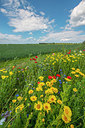BUITEN BEELD Foto: 245576