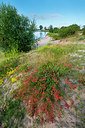 BUITEN BEELD Foto: 245605